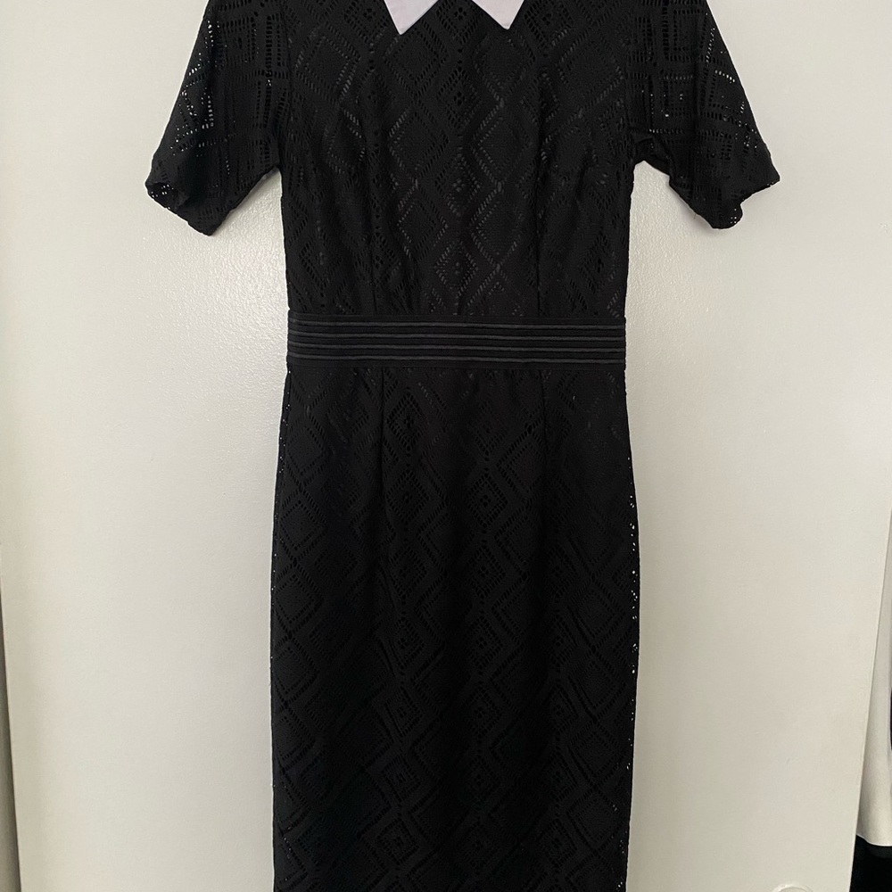 NEW YORK AND COMPANY MESH COLLARED DRESS